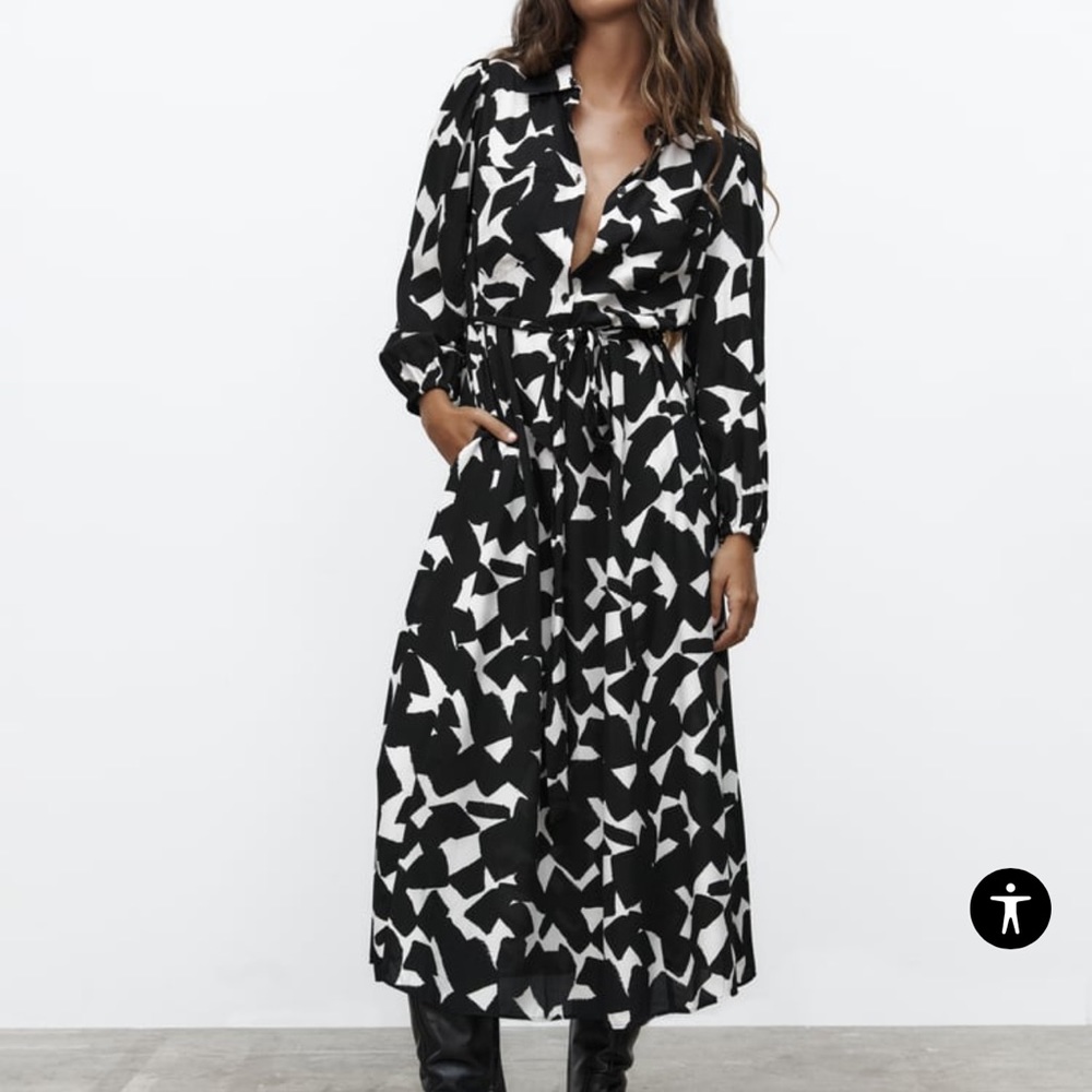 Zara Emilie Midi Dress